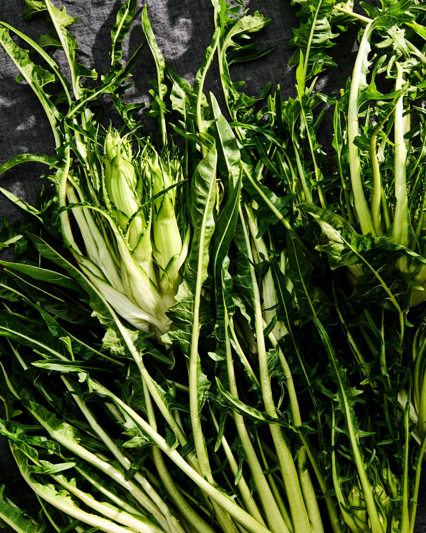 Puntarelle