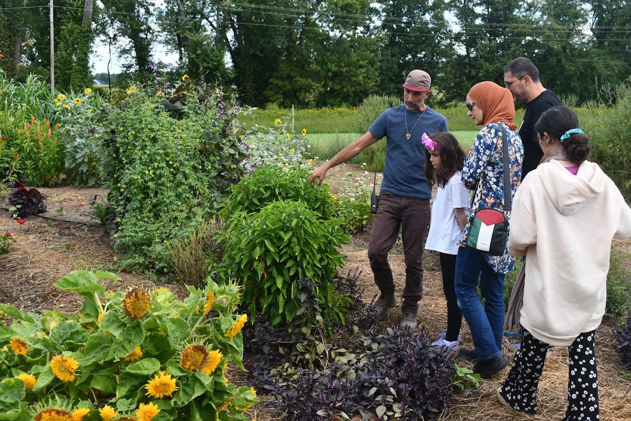 Laila El-Haddad and family with K Greene, director of seed programs at Hudson Valley Farm Hub, harvesting peppers 