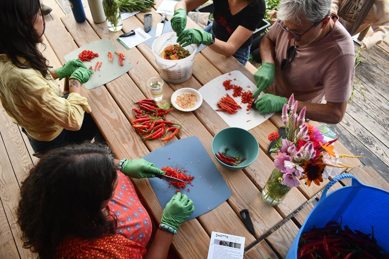 Chopping peppers for shatta 